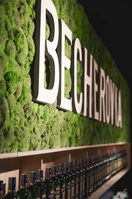 Karlovy Vary: Home of Becherovka Visitor Center Guided Tour - Karlovy Vary water tasting: the ingredient test