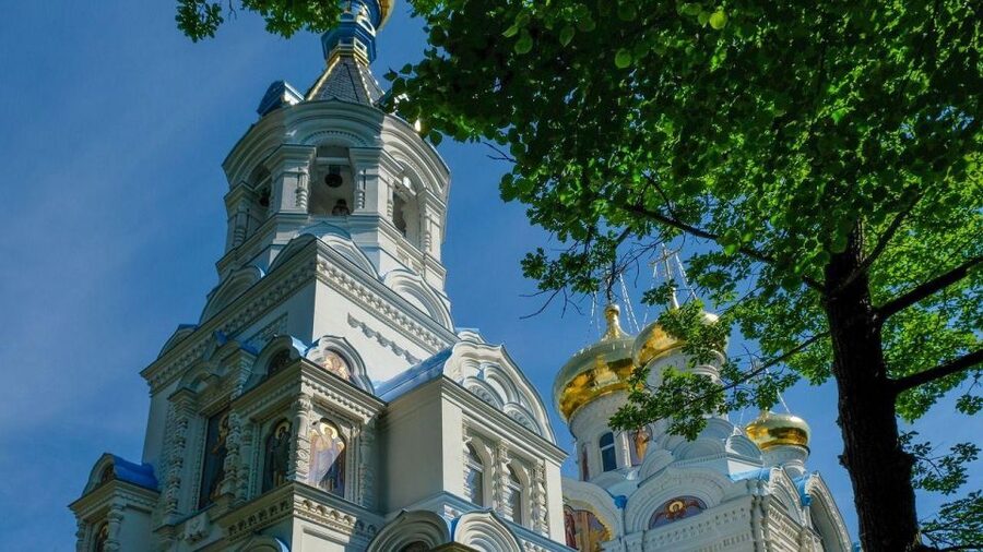 Karlovy Vary: Private Walking Tour - Key things you will notice on this Karlovy Vary private walking tour