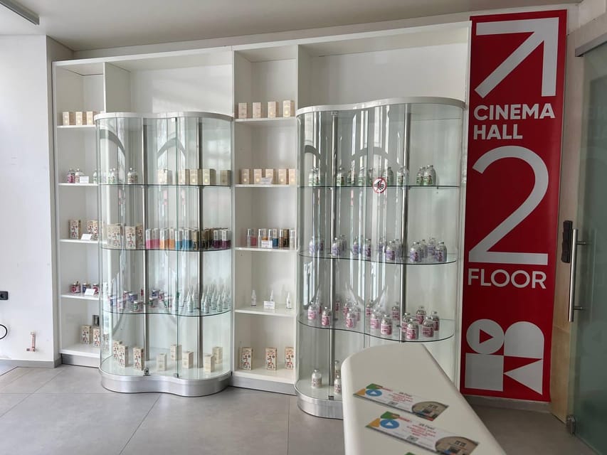 Karlovy Vary: Tourist Cinema Experience - Price and value: $4.86 for 20 minutes of orientation