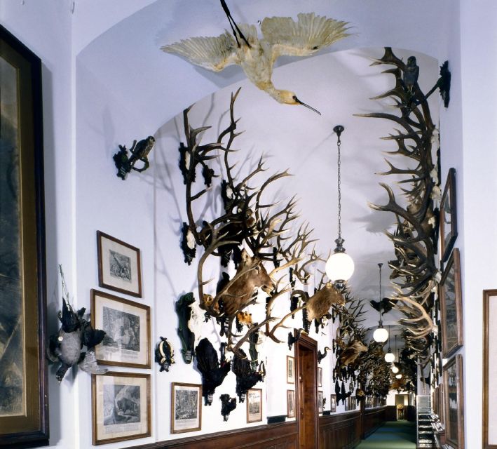 Konopiště: Chateau Tour from Prague - Who this Konopiště tour fits best