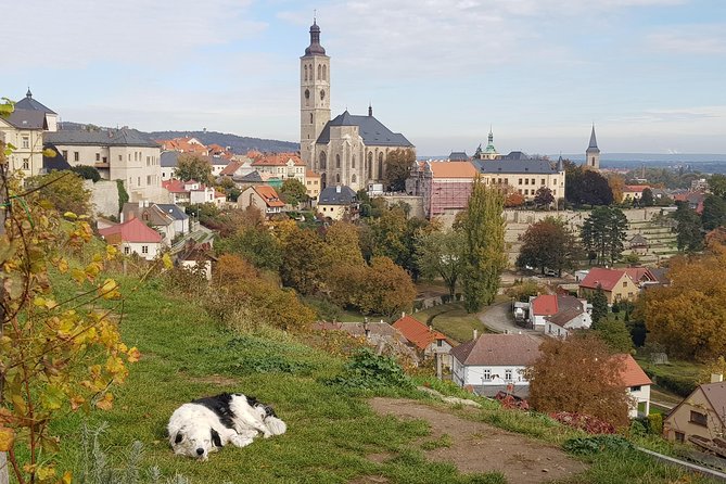 Kutná Hora and Bone church - private tour with PERSONAL PRAGUE GUIDE - Pickup in Prague, mobile ticket, and how the day is paced