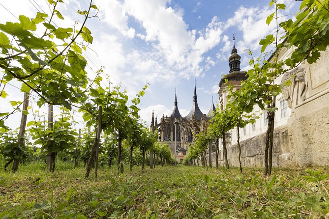 Kutná Hora UNESCO, Bone Church & Biodynamic Wine Private Tour - DEMETER biodynamic winery tour: cellar, production, vineyards