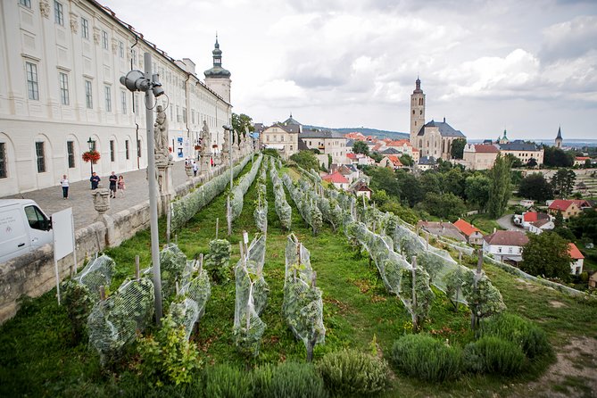 Kutná Hora UNESCO, Bone Church & Biodynamic Wine Private Tour - Private timing, language, and small touches that matter
