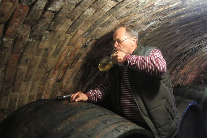 Moravian wine trails - Why Lednice and Valtice work for wine lovers and culture seekers