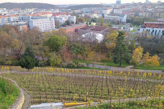 Non-touristy Prague - Cozy Neighborhoods - Private Tour - Vinohrady calm villas, TV tower photos, and park breaks