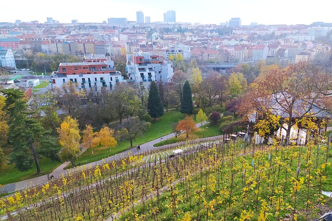 Non-touristy Prague - Cozy Neighborhoods - Private Tour - Parukarka and Grebovka vineyards for real hill views
