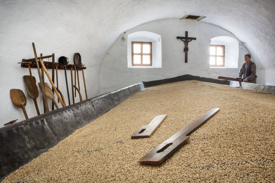 Pilsen: Brewery Museum Entrance with a Glass of Beer - Stepping Into a Preserved 15th-Century Brewery House in Plzeň