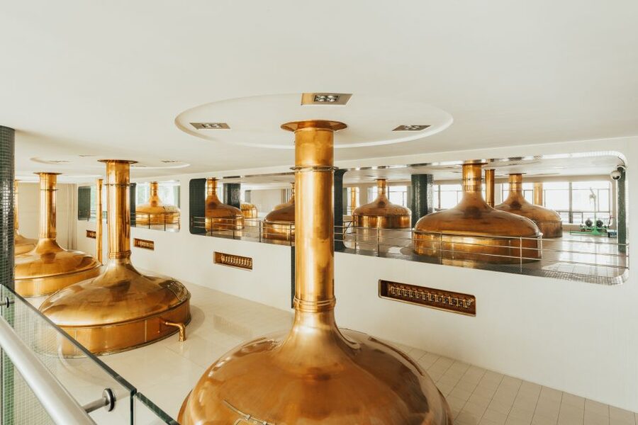 Pilsen: Pilsner Urquell Brewery Tour with Beer Tasting - Brewing basics you can actually apply to your next beer
