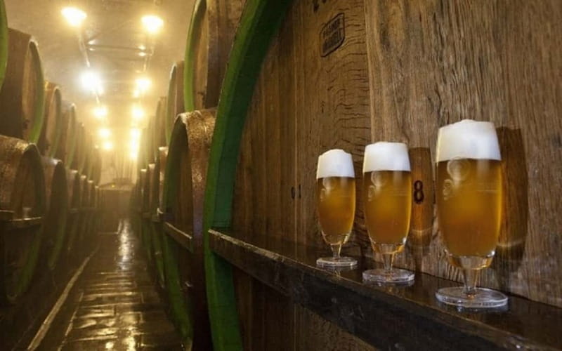 Pilsner Brewery & Nizbor Glass Factory Combination Tour - The Pilsner Urquell Brewery Visit, Where the Story Becomes Real