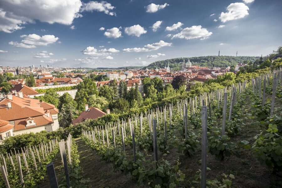 Prague: 3–Hour Castle Grounds Walking Tour and River Cruise - Meeting at Týnský Street: where the tour starts
