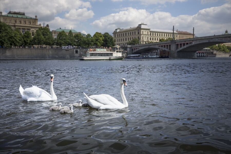 Prague: 3–Hour Castle Grounds Walking Tour and River Cruise - Malá Strana: red roofs, Baroque buildings, and an easy shift in vibe