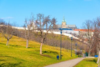 4-Hour Segway and Scooter Tour
