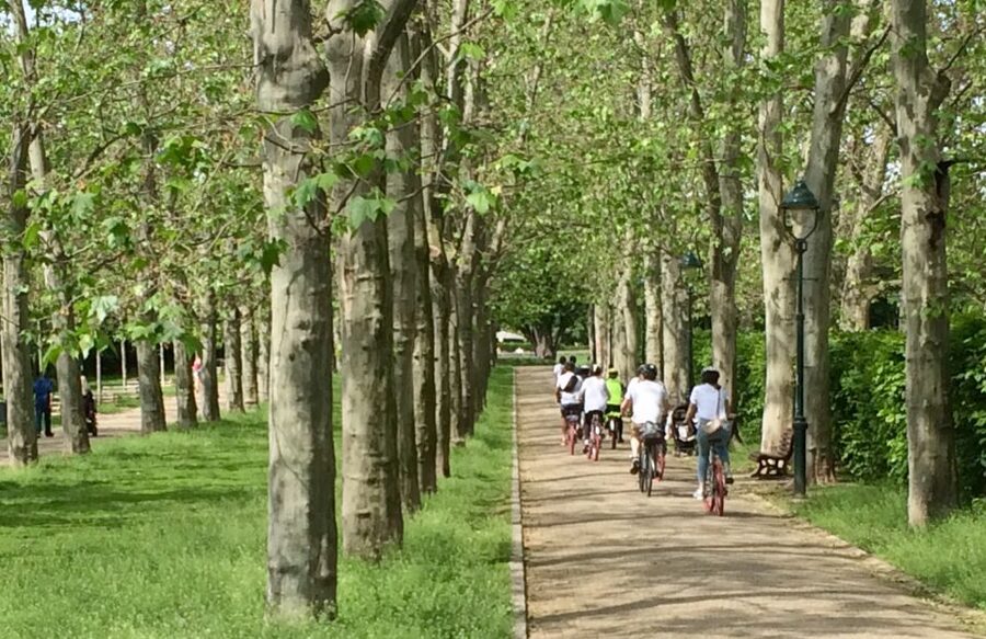 Prague "ALL-IN-ONE" City E-Bike Tour - Vltava River to Prague Castle: parks, panoramas, and the Metronome stop