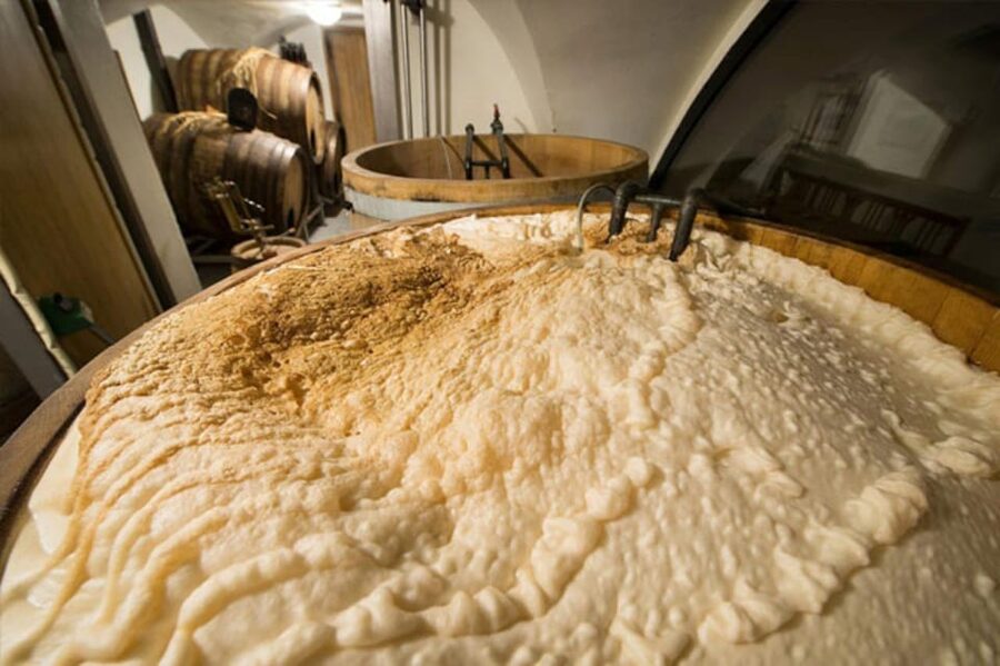 Prague: Beer Tasting and Brewery Tour - Who This Tour Fits Best, and Who Might Prefer Something Else