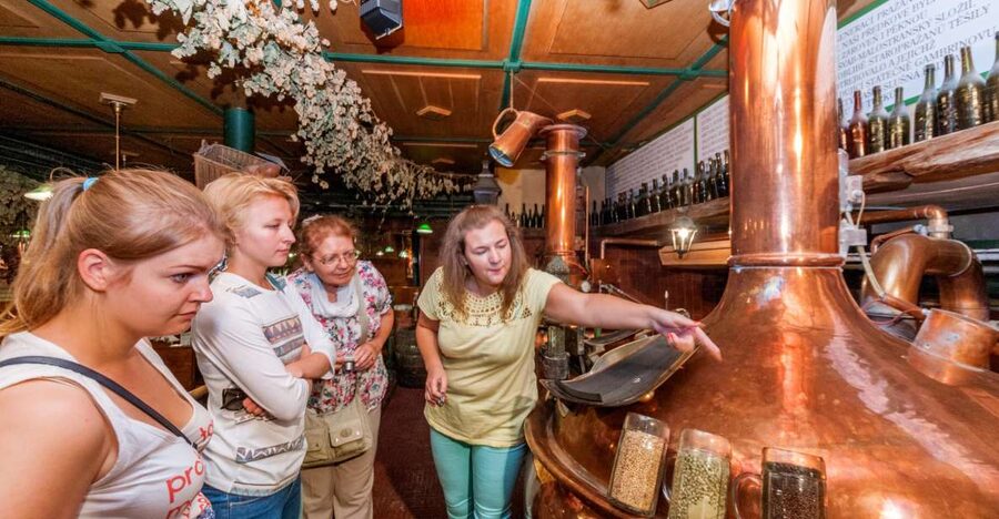 Prague: Brewery Tour with Unlimited Tastings - Starting at St. Ludmila, then walking your way into beer country