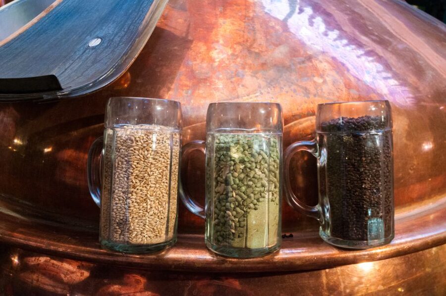 Prague: Brewery Tour with Unlimited Tastings - Czech appetizers and how the guide shapes your afternoon