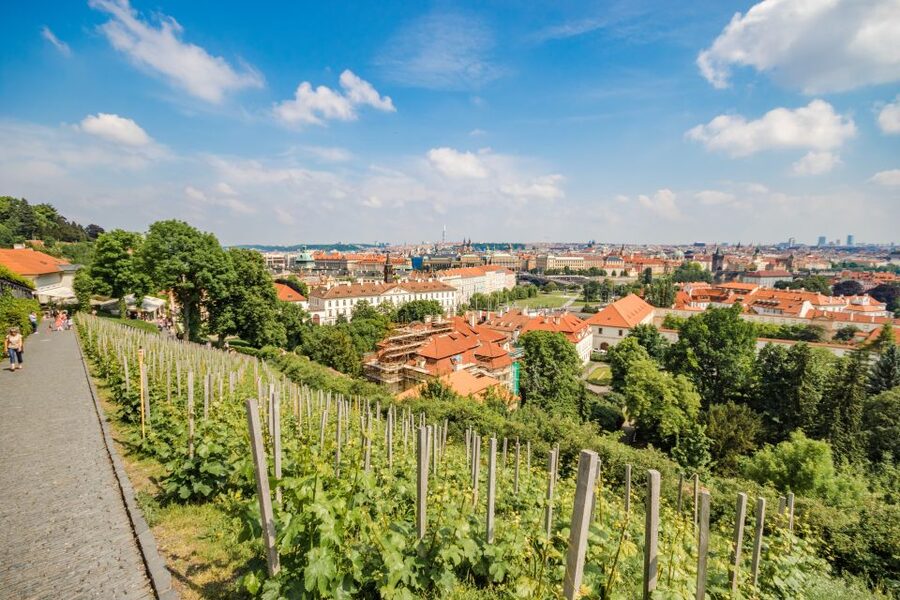 Prague Castle 2.5-Hour Tour Including Admission Ticket - Charles Bridge Start, Tram Lift, and the Easiest Entry Rhythm