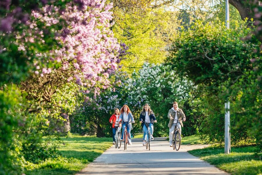 Prague: Complete Bike Tour - Riding Mala Strana and pausing near Kampa Park