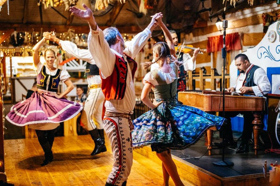 Prague: Dinner with Folk Show and Open Bar - What the open bar really adds to the meal