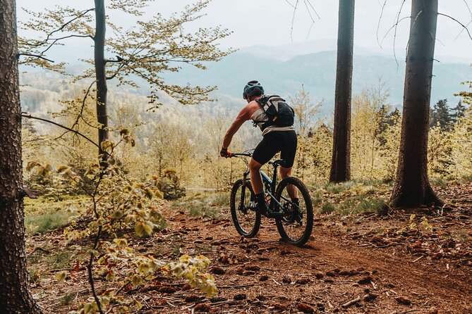 Prague E-Mountain Biking Adventure In The Bohemian Paradise - Hrad Valdstejn: castle stop energy reset and a real lunch