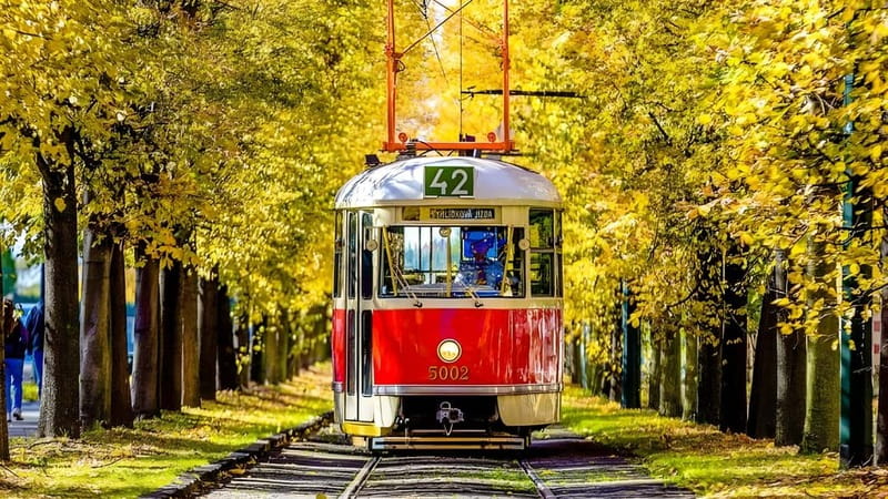 Prague: Full-Day Guided Tour of Prague in a Small-Group - Lunch at a traditional Czech tavern, plus 80 minutes to reset