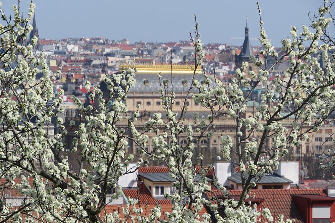 Prague Literary & Historical Tours - Literature Route - Backwards Through Time, On Foot in Old Town