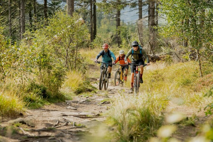 Prague Mountain Biking: Blast Through The Best Singletracks - Forest singletracks, viewpoint stops, and views over the Berounka River