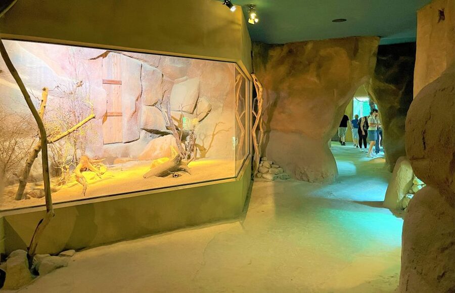 Prague: Prague Zoo Audio Guide with E-Ticket - Prague Zoo in Troja: What This Audio Experience Really Helps With