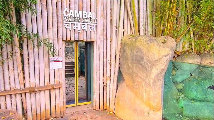 Prague: Prague Zoo Audio Guide with E-Ticket - Accessibility and Comfort: Practical Notes for Different Visitors