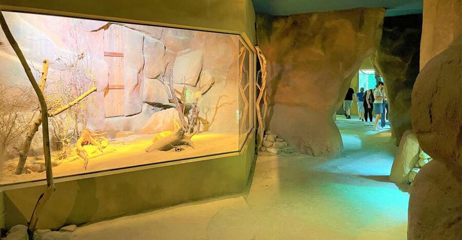 Prague: Prague Zoo Audio Guide with E-Ticket - Starting at U Trojského zámku 120/3: Your First “Stop” Matters
