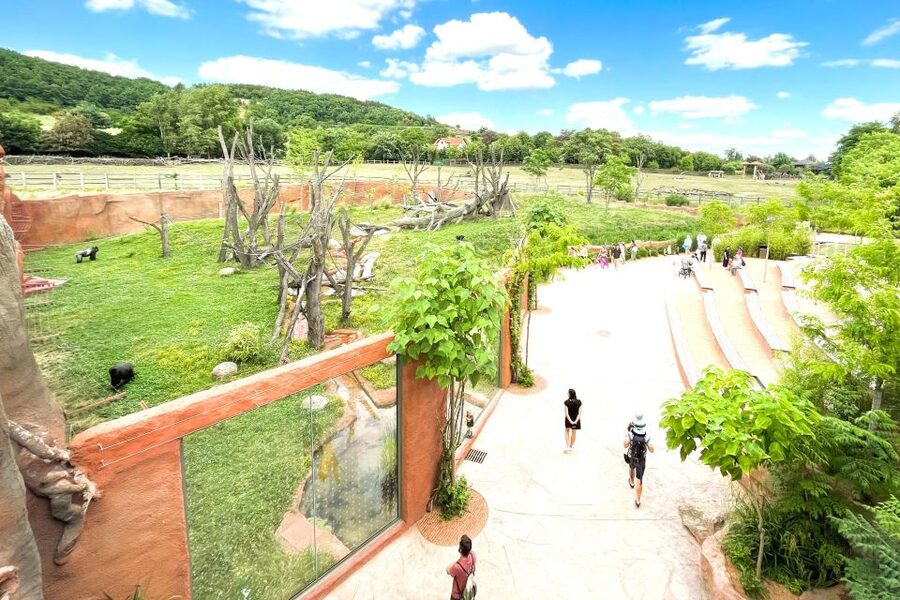 Prague: Prague Zoo Audio Guide with E-Ticket - Animal Encounters: How to Get More Than a Quick Look