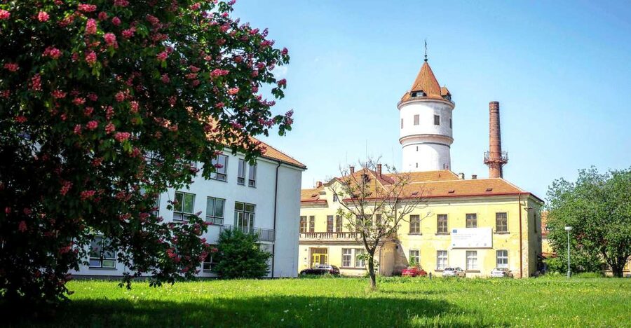 Prague: Psychiatric Hospital and Abandoned Cemetery Tour - Key highlights you will actually notice
