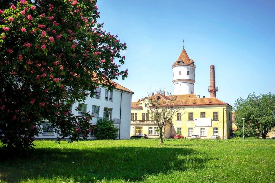 Prague: Psychiatric Hospital and Abandoned Cemetery Tour - A real hospital, not a staged spooky set