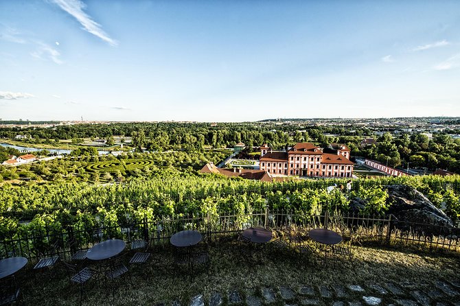 Prague´s Hidden Vineyards Private Tour - First Stop in Prague: Grebovka Wine Cellar and City Vineyards
