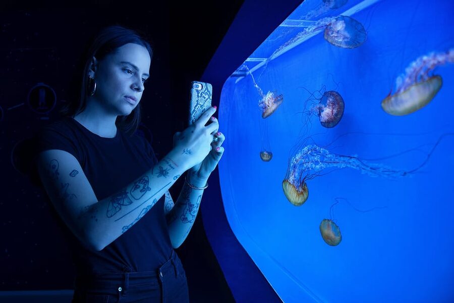 Prague: The World Of Jellyfish Entry Ticket w/ Drink - 38 aquariums and 30+ jellyfish species, all in one place