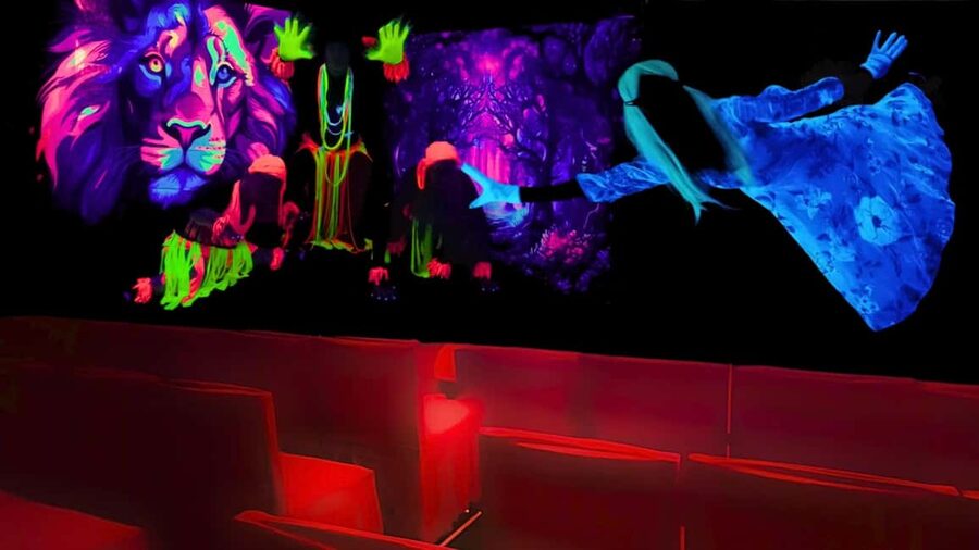 Prague: Underground Black Light Theatre Interactive Show - Price and Value: Is $18 Worth It in Prague?