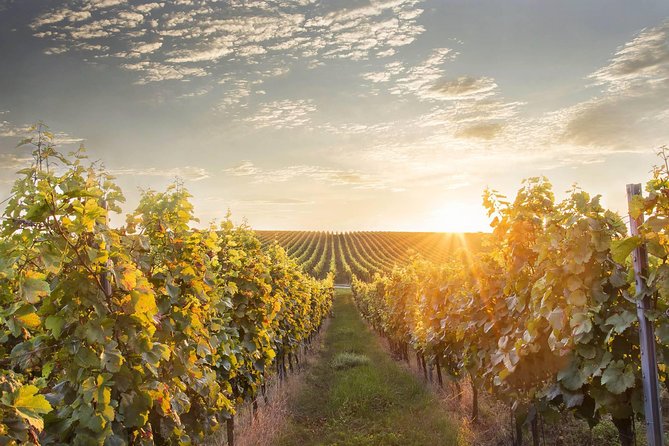 Prague-Vienna One-Way Sightseeing Day Tour - Prague to Vienna Without the Transit Headache
