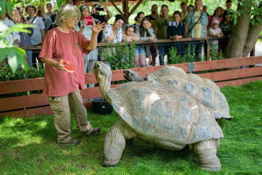 Prague Zoo: Skip-the-Line Entry Ticket - Key Highlights You Should Care About