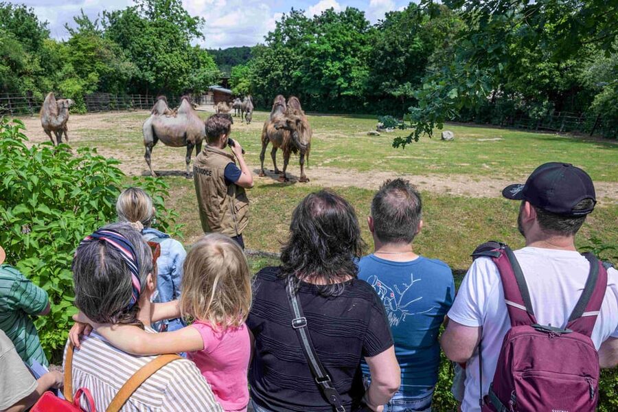 Prague Zoo: Skip-the-Line Entry Ticket - Food, Breaks, and Amenities, So You Don’t Burn Out