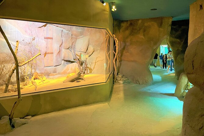 Prague Zoo Ticket with Online Audio Guide - Internet connection is not optional, so plan for it