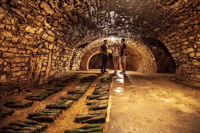 Private Bohemia Wine Tour from Prague with Gourmet Tastings - Pickup and timing: how the schedule works in an 8-hour day