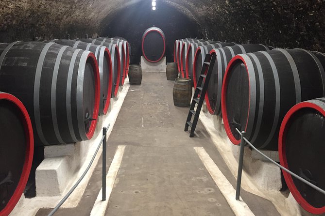 Private Bohemia Wine Tour from Prague with Gourmet Tastings - Stop 4: Johann W - Zamecke vinarstvi Trebivlice, modern estate work and a final tasting