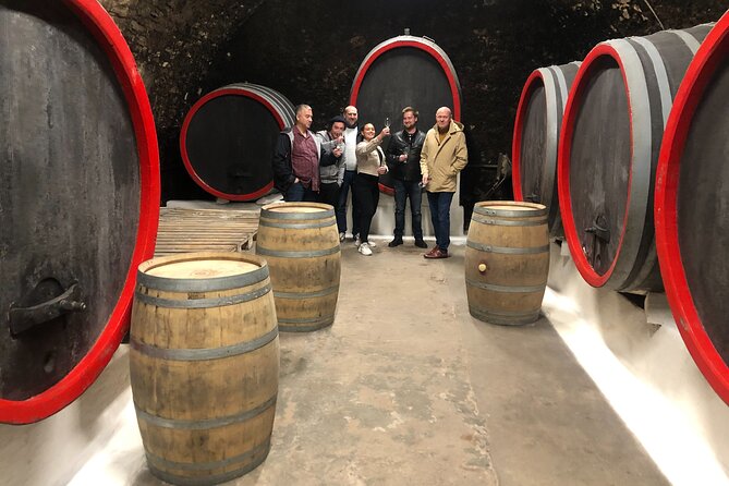 Private Bohemia Wine Tour from Prague with Gourmet Tastings - Price and value: what $359.22 gets you from Prague