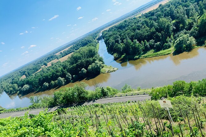 Private Bohemia Wine Tour from Prague with Gourmet Tastings - Stop 1: Zamek MElnik and its Renaissance château wine views
