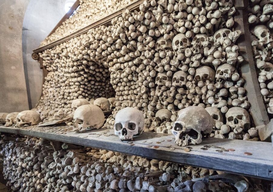Private Guided Tour from Prague to UNESCO Kutna Hora - Price and value: is $304 per person worth it?