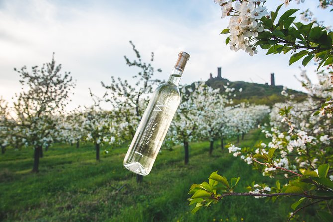 Private PICNIC in Bohemian Vineyards and Wine Tasting 4WD Tour - Why this private vineyard picnic feels different