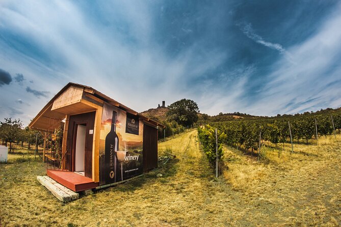Private PICNIC in Bohemian Vineyards and Wine Tasting 4WD Tour - Who this tour suits best, and who should rethink it