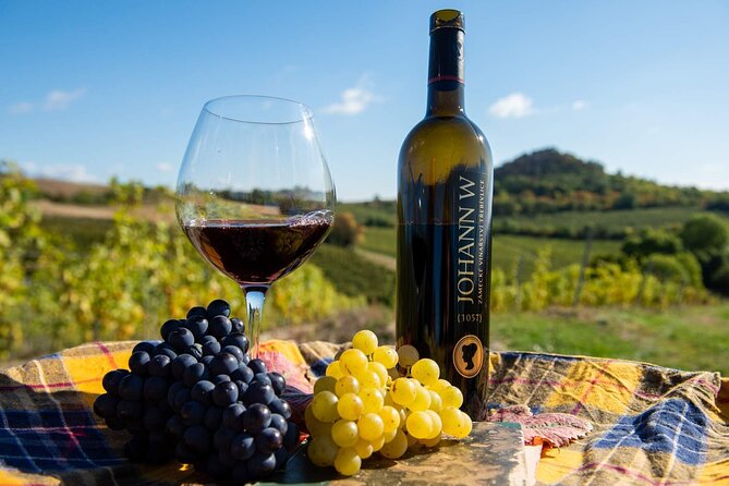 Private PICNIC in Bohemian Vineyards and Wine Tasting 4WD Tour - Johann W in Trebívlice: welcome drink, cellar walk, and tasting rhythm