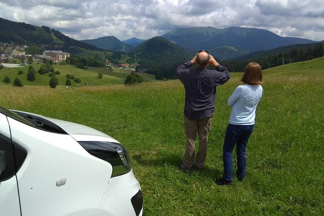 Private transfer in a Sanitized Car Prague to Vienna with 2h stop Cesky Krumlov - Who This Transfer Is Perfect For