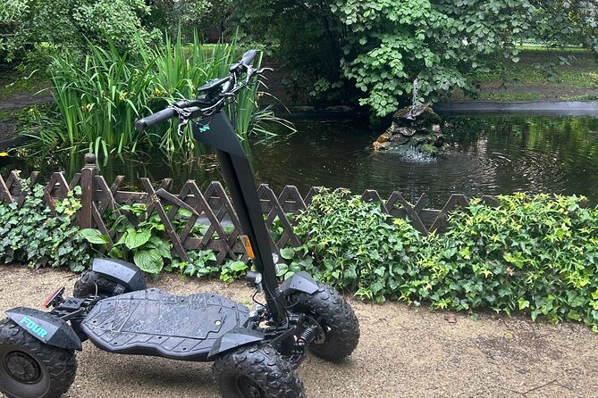 Scooter tours to Prague Castle and views. - Vltava River bay: quick water views and animal moments